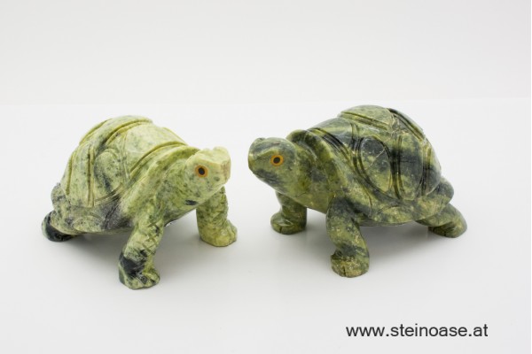 Schildkröte Serpentin Gr.L